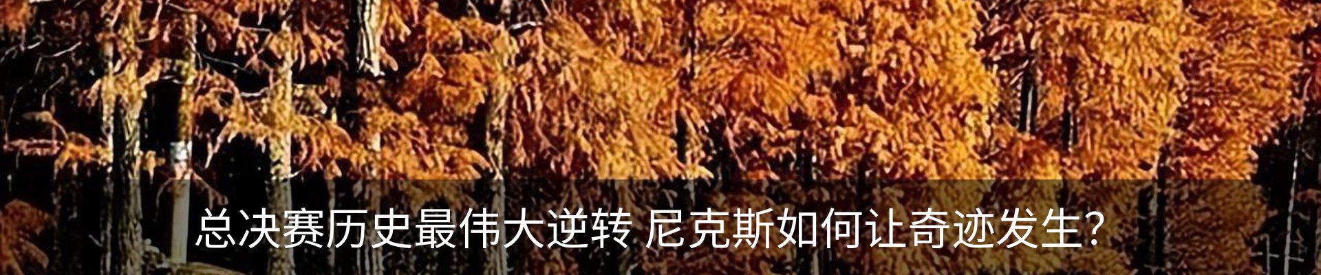 内页banner
